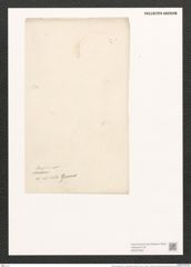 Nitzschia longissima var. undulata (Breb.) Ralfs (de-Toni-Nr.: Genus 47, Species 2146) Zeichnungen Sammlung Grunow (NHMW-BOT-W0372350)